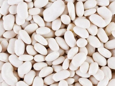 Квасоля сортова. 20 сортів квасолі на продаж