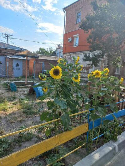 увага продам 2х кімнатну Центр