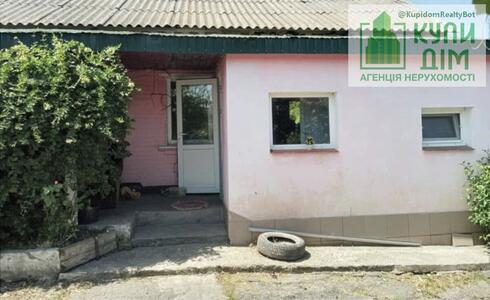 Продам будинок с. Димене