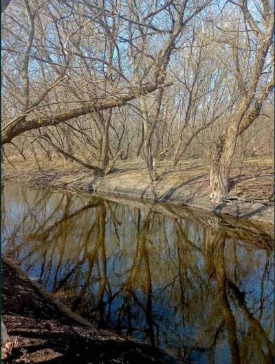 Продам Будинок село Калинівка
