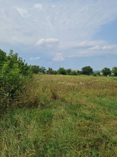 Продам 10 соток земли