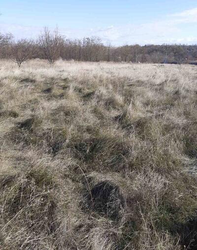 Продаж земельної ділянки