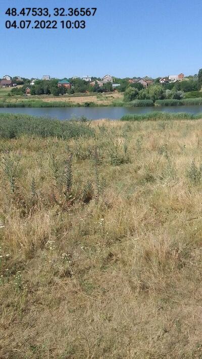 Ділянка 12сот. Бережинка