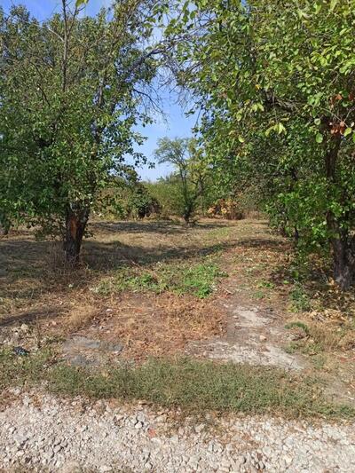 Продам земельний участок