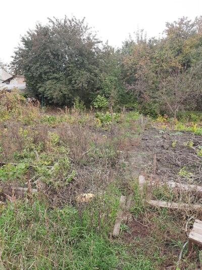 Земельна ділянка, 10 соток