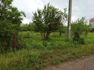 Продам земельну ділянку