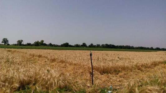 Продаж земельної ділянки 10 соток