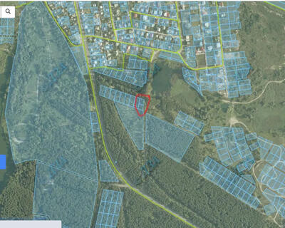 Дві суміжні ділянки по 5 соток.