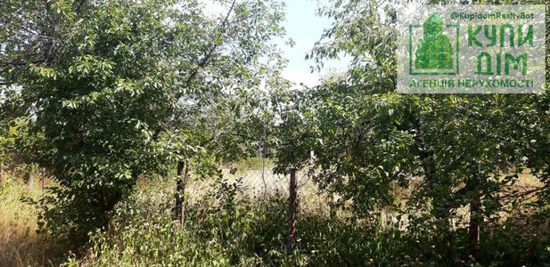 Дачний участок (земельна ділянка),