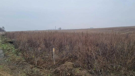 Продам землю