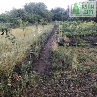 Продам дачну ділянку