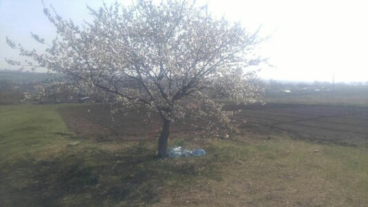 Земельна ділянка в селі Бережинка.