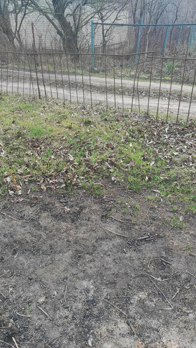 Продам З земельні участки по 6 соток,