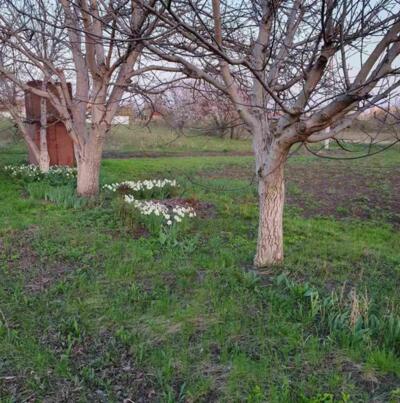 Продам ділянку під забудову 2500 тис доларів