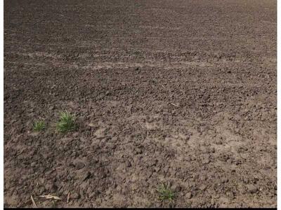 Продам землю сільськогосподарського призначення Петровський, Зелене, Нова