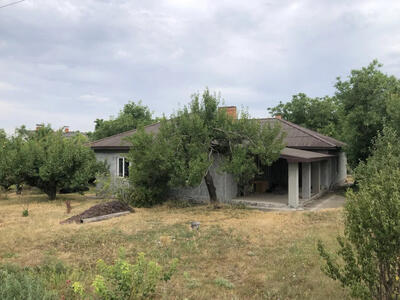 Продам будинок Черняхівка, 50 соток, є скважина.