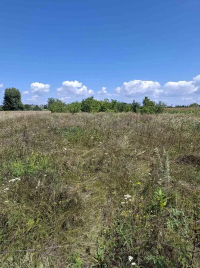 Продам земельну ділянку у с. Мар'ївка Кропивницького району