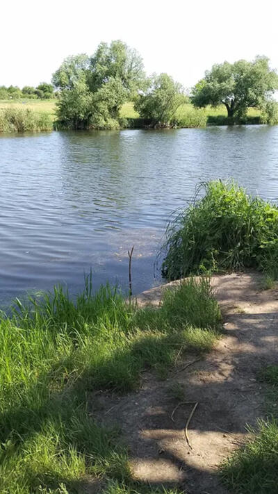 Перспективна Ділянка 12сот. Бережинка, Кіровоградська обл, Кропивницький р-н. (5км від міста)